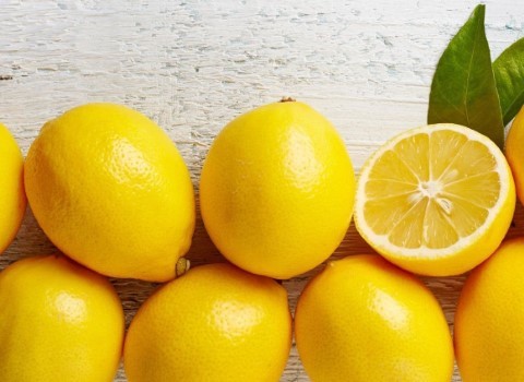 تصویر 3 از قیمت خرید لیمو ترش گلخانه ای با فروش عمده
